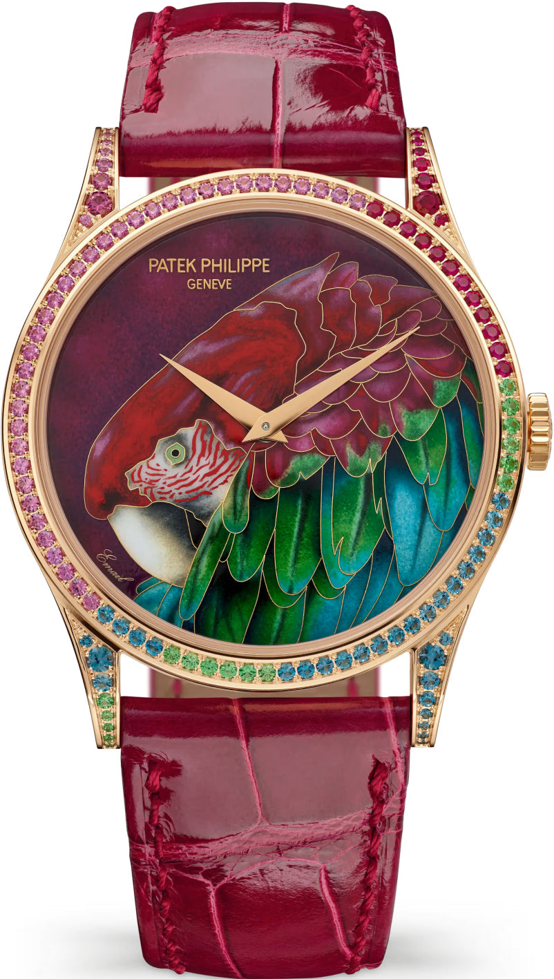 Patek Philippe Calatrava 5077/211R-001 Rose Gold / Green-Winged Macaw — 2026