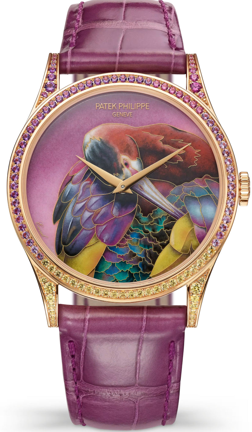 Patek Philippe Calatrava 5077/213R-001 Rose Gold / White-Faced Ibis — 2026 Main image