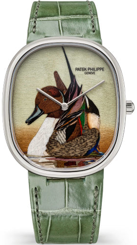 Patek Philippe Golden Ellipse 5738/50G-047 White Gold / Northern Pintail — 2026 Main image