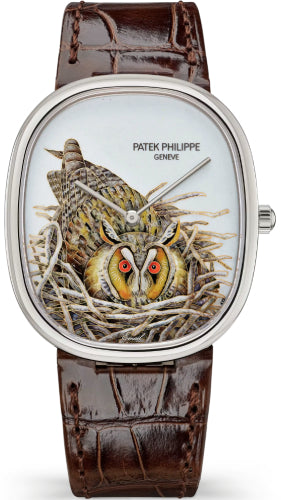 Patek Philippe Golden Ellipse 5738/50G-049 5738 White Gold / Brown Owl — 2026