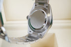 Rolex Oyster Perpetual 134300 Stainless Dial Pistachio Dial