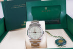 Rolex Oyster Perpetual 134300 Stainless Dial Pistachio Dial