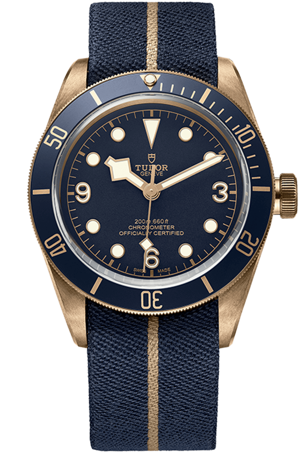 Tudor Black Bay M79250BB-0001 Bronze Bucherer BLUE