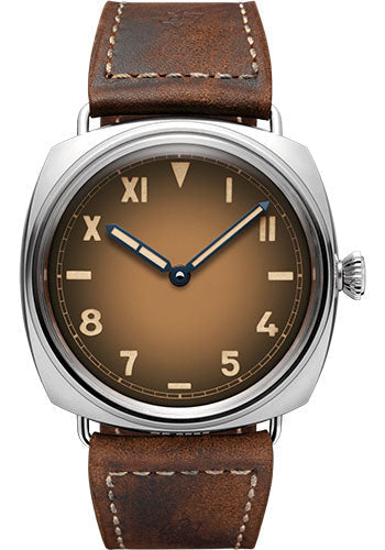 Panerai Radiomir PAM00931 California - 47mm - Patina Steel Main image