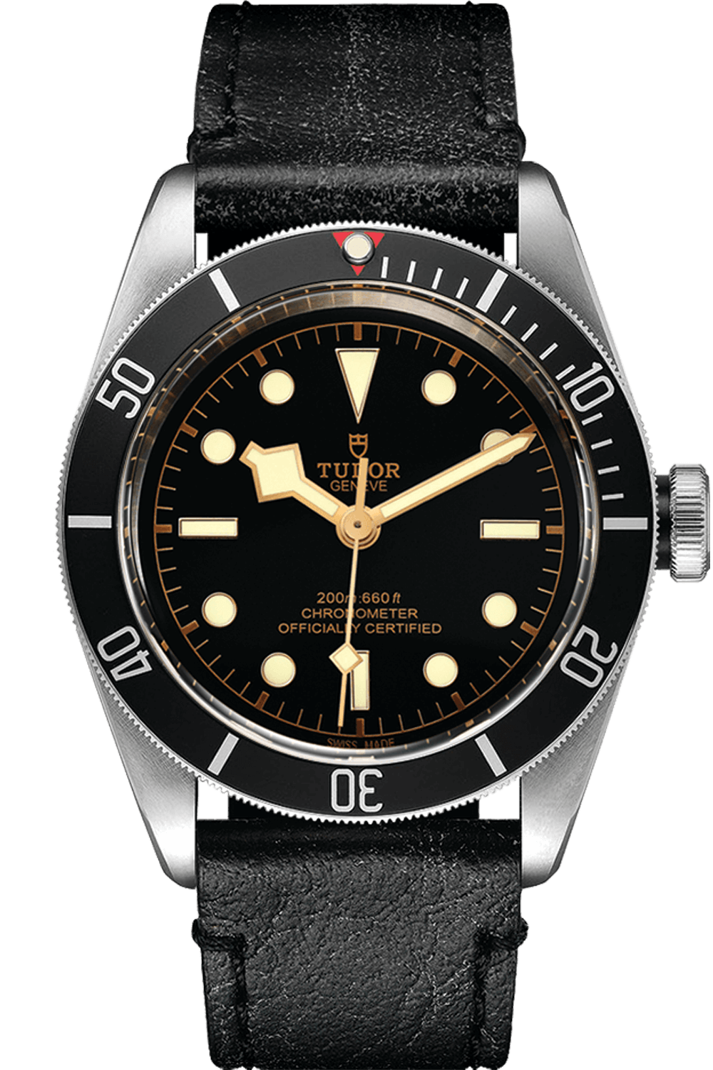 Tudor Black Bay M79230N-0008 Main image