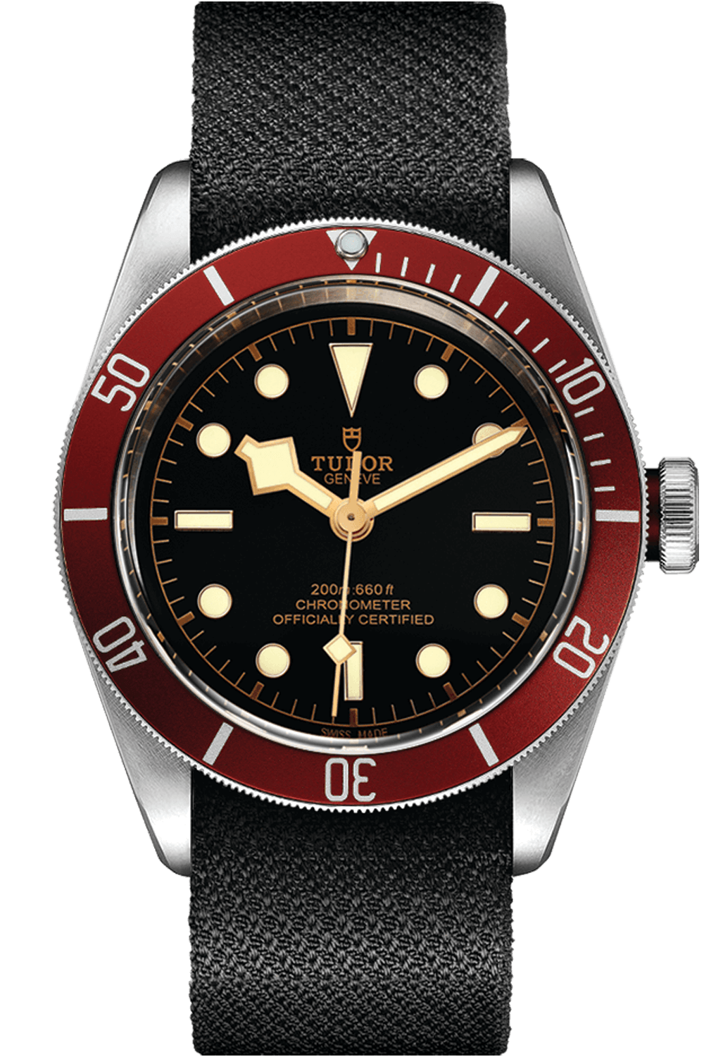 Tudor Black Bay M79230R-0010