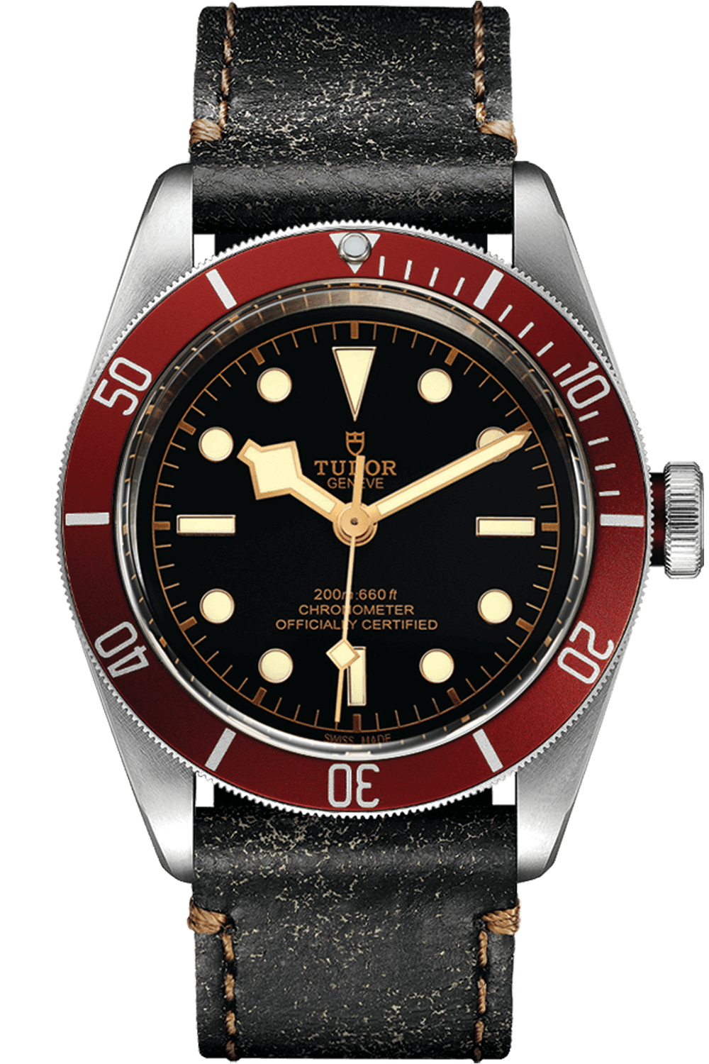 Tudor Black Bay M79230R-0011 Main image