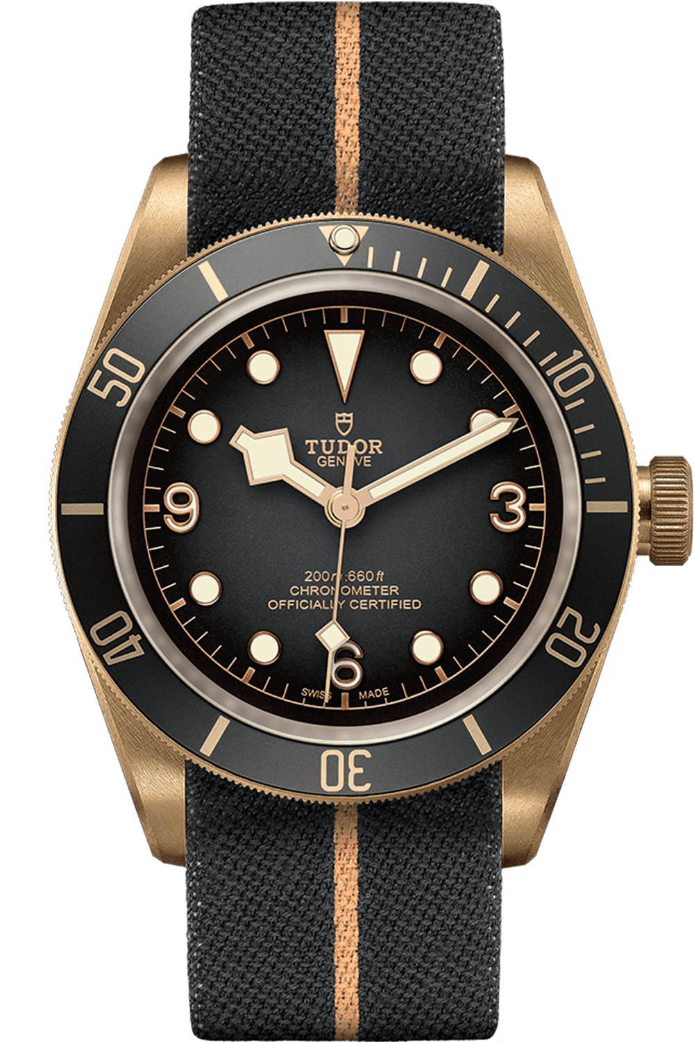 Tudor Black Bay M79250BA-0002 Bronze