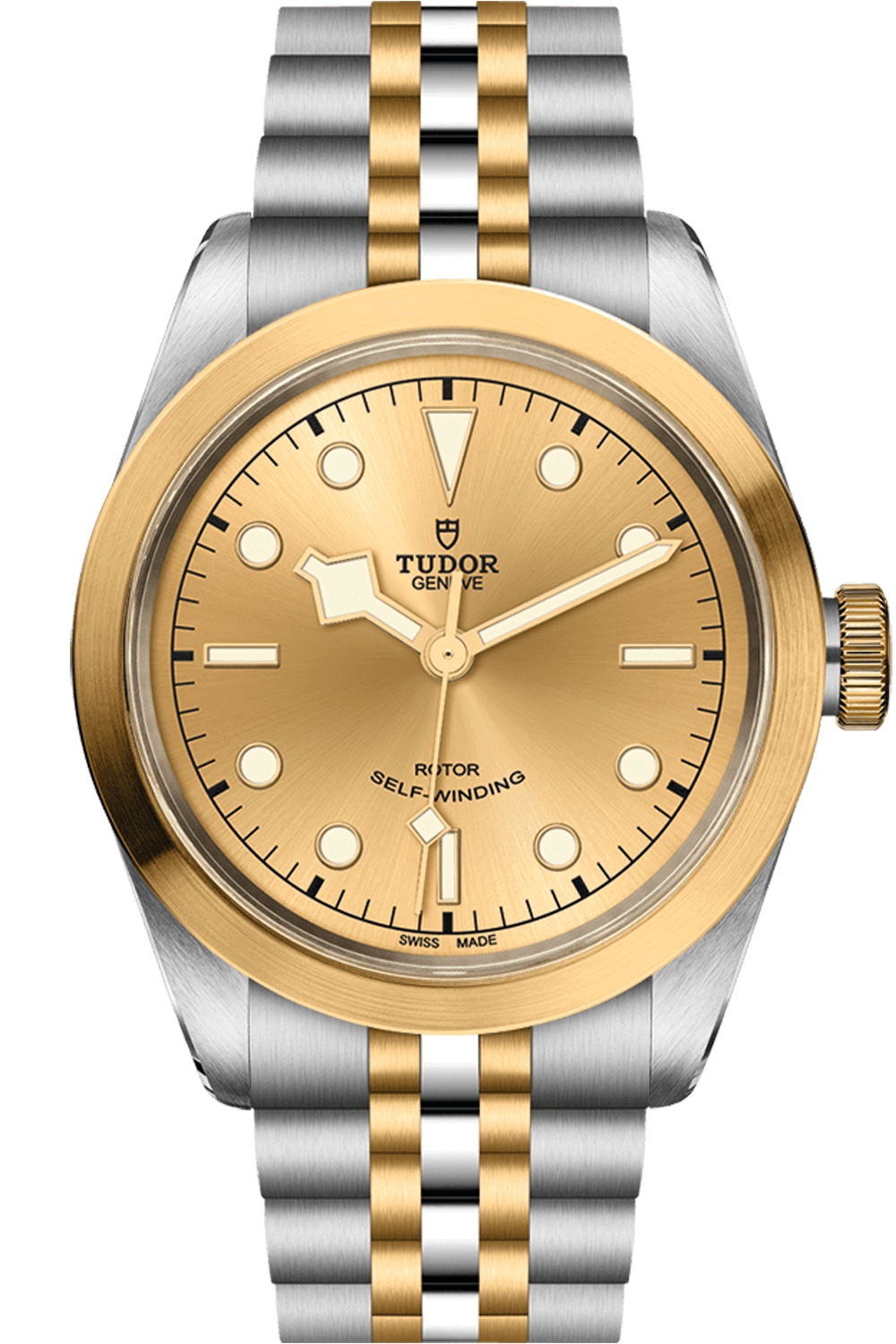 Tudor Black Bay M79543-0002 41 S&G Main image