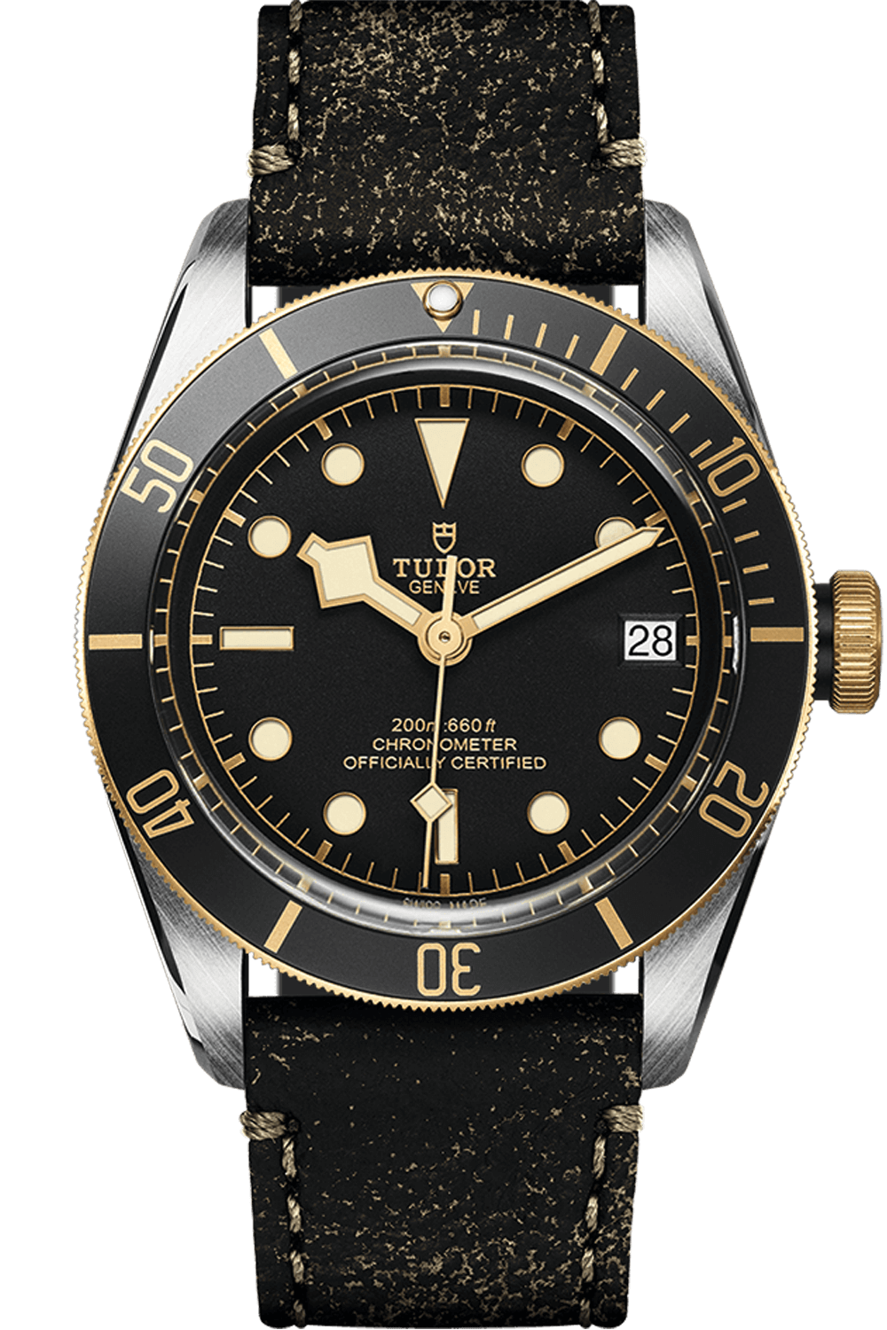 Tudor Black Bay M79733N-0007 S&G