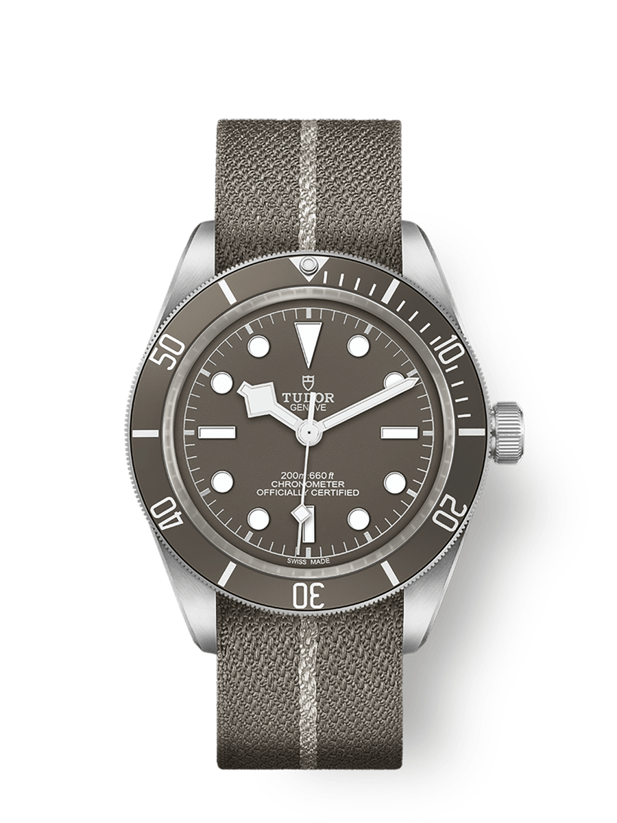 Tudor Black Bay 58 925 M79010SG-0002 39mm silver case, Taupe dial Main image