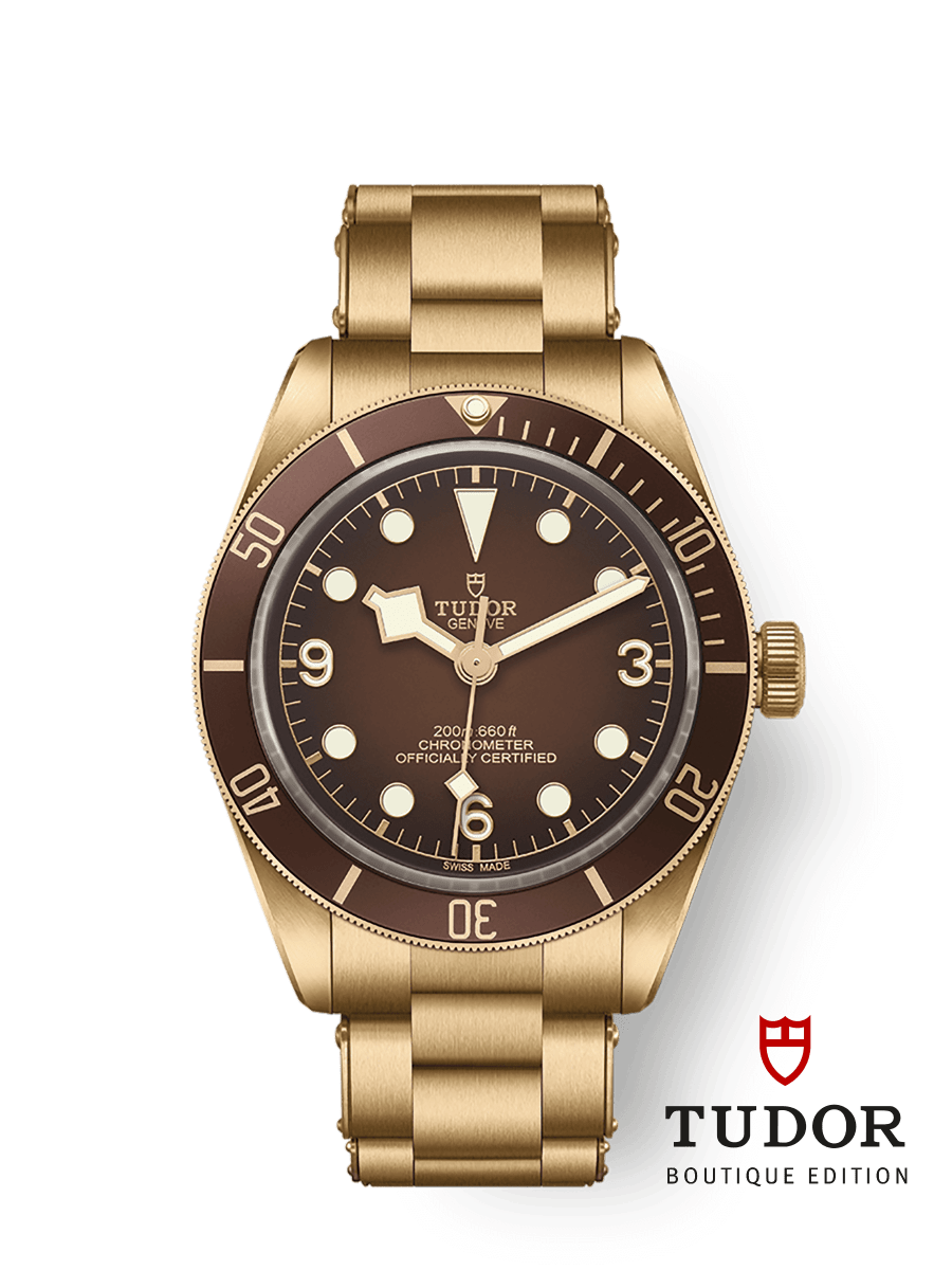 Tudor Black Bay 58 Bronze M79012M-0001 39mm bronze case, Gradient matt “brown-bronze” dial Main image