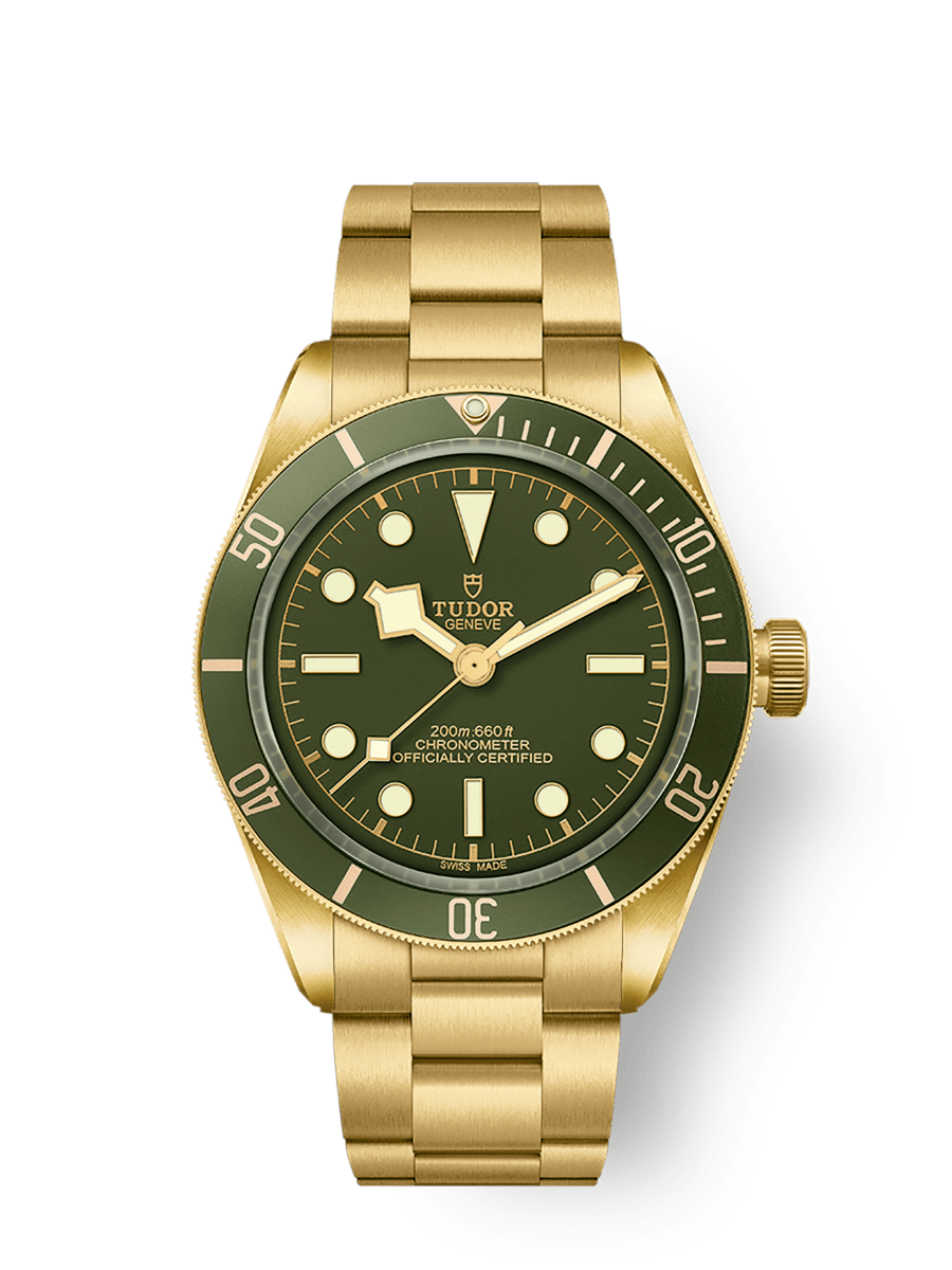 Tudor Black Bay 58 18K M79018V-0006 39mm yellow gold case, Yellow gold bracelet Main image
